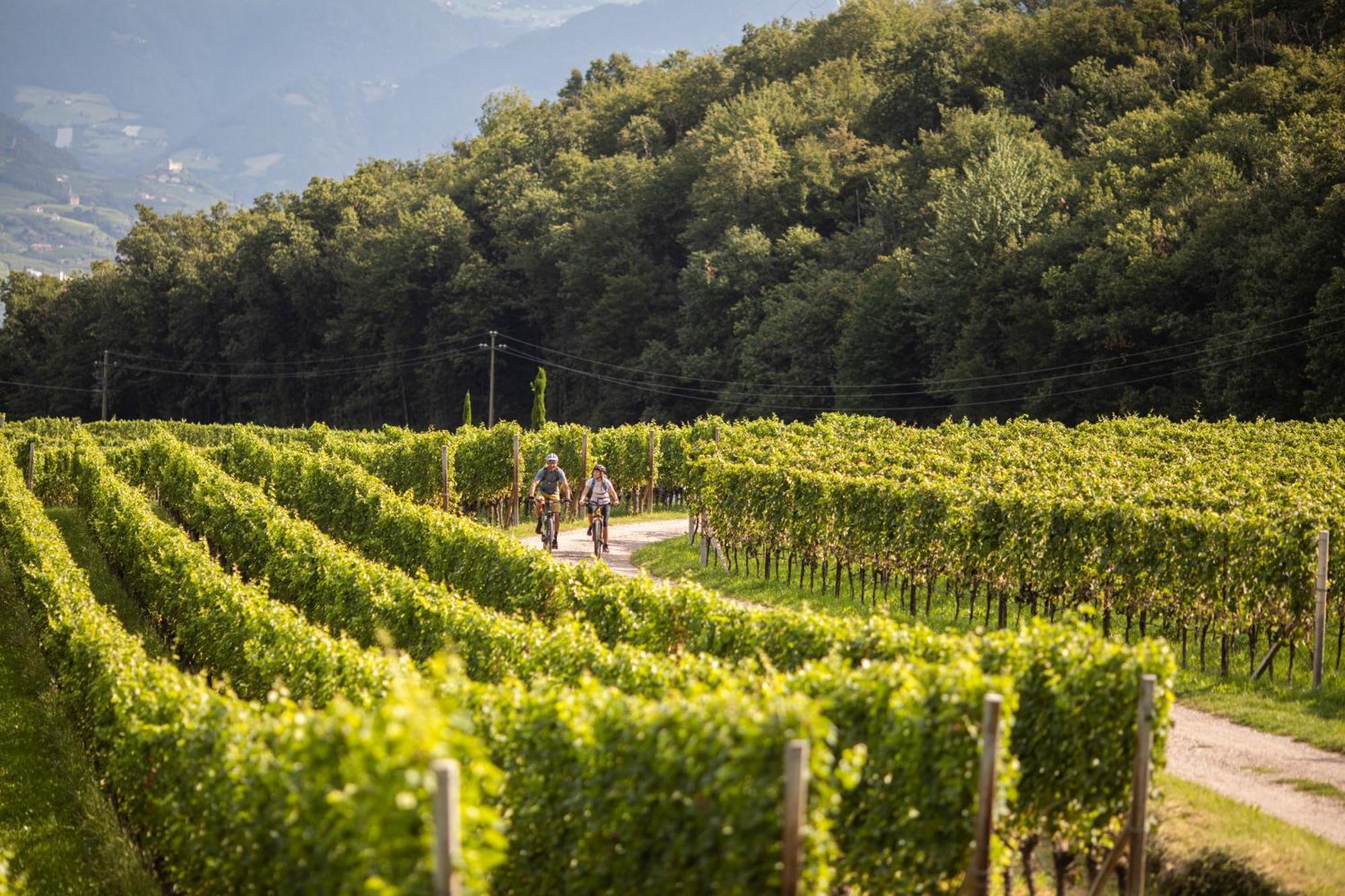 Belia Lofts - Adults Only - Apartments Appiano Sulla Strada Del Vino Bagian luar foto